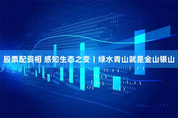股票配资相 感知生态之变丨绿水青山就是金山银山